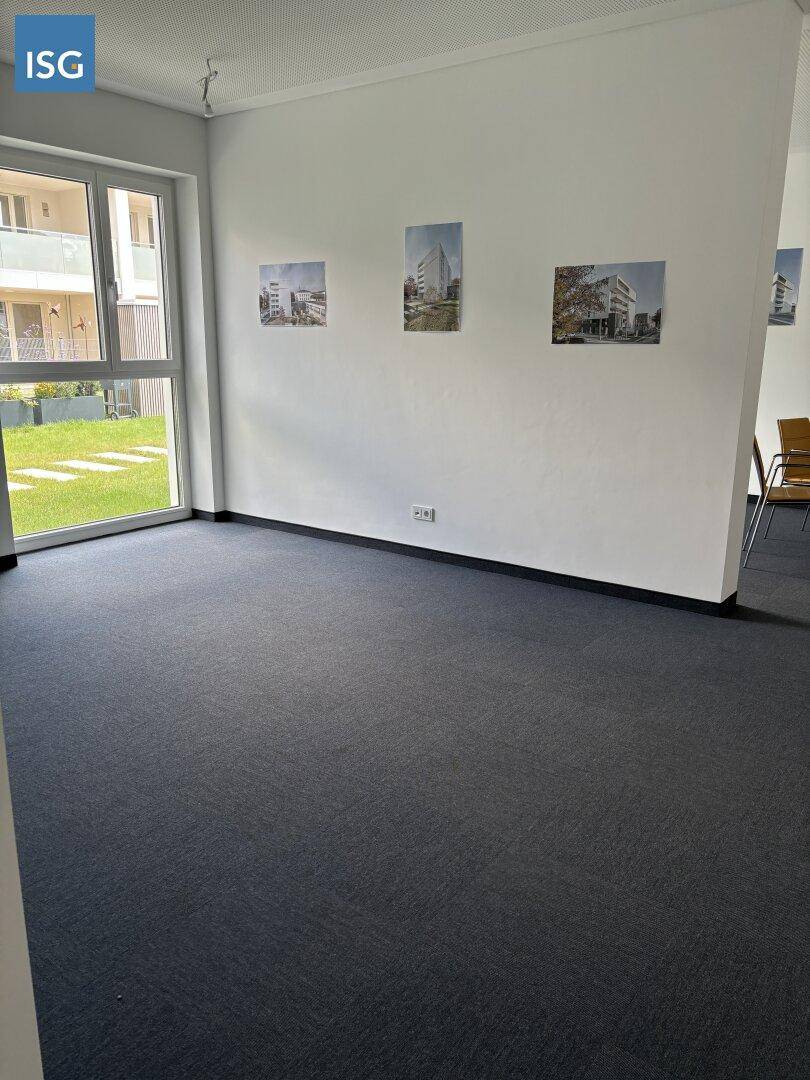 Leerer Raum mit dunklem Teppichboden und großen Fenstern, die auf eine Grünfläche blicken und viel Licht hereinlassen.