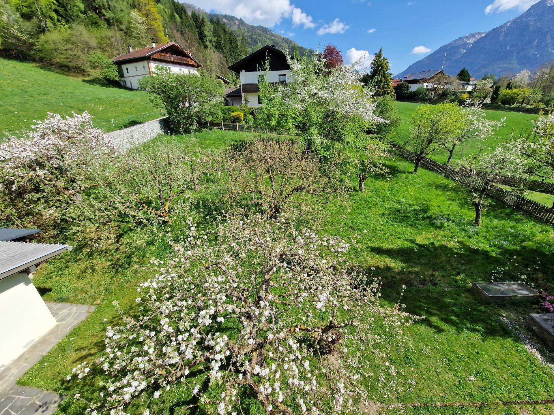 Wohnhaus mit großem Grundstück und viel Potential - Ansicht 5