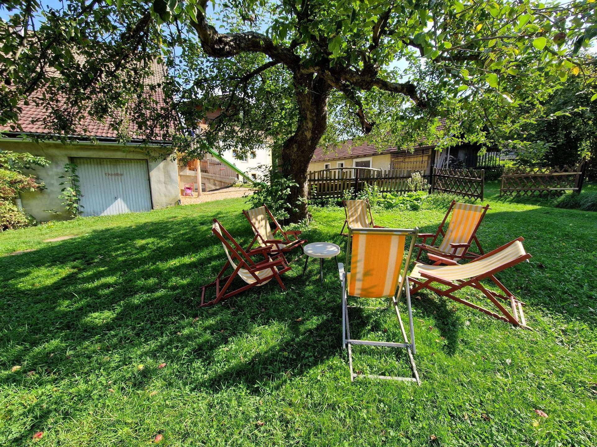 Sonnige Gartenecke mit Liegestühlen unter einem großen, schattenspendenden Baum, ideal zum Entspannen.
