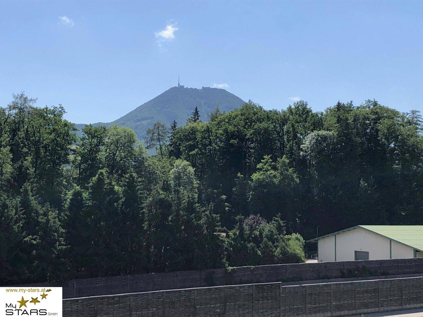 Blick auf einen dicht bewaldeten Hügel mit einem Sendemast auf dem Gipfel unter blauem Himmel.