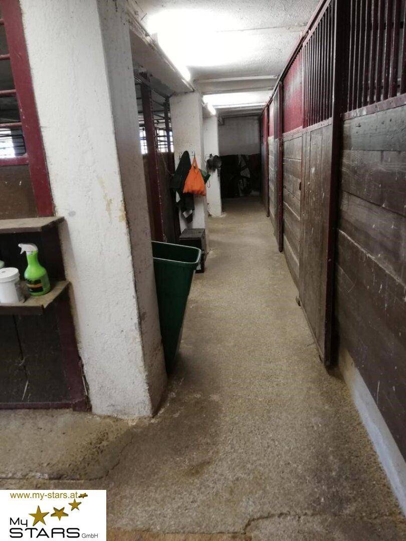 Langer Gang in einem Stallgebäude mit Holztüren zu den Pferdeboxen und Betonboden.
