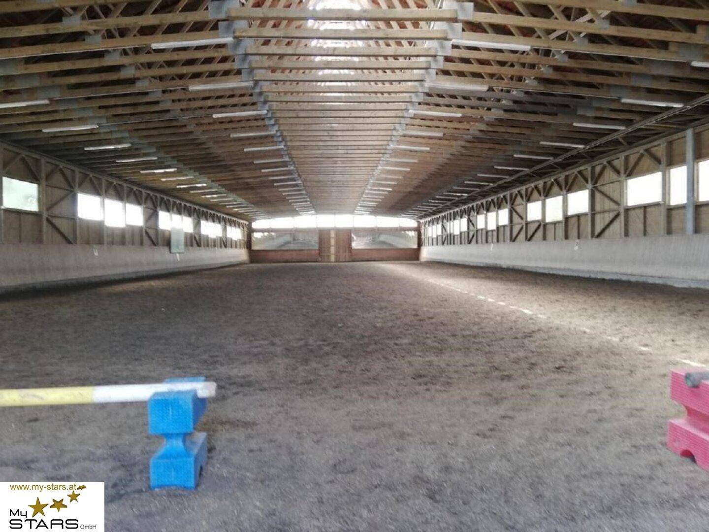 Große Reithalle mit Sandboden, Holzdachkonstruktion und natürlichem Lichteinfall durch Fenster.