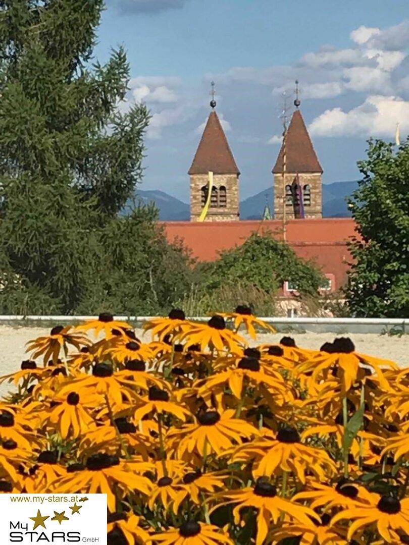 Gelbe Blumen im Vordergrund mit Kirchtürmen und einer bergigen Landschaft unter blauem Himmel.