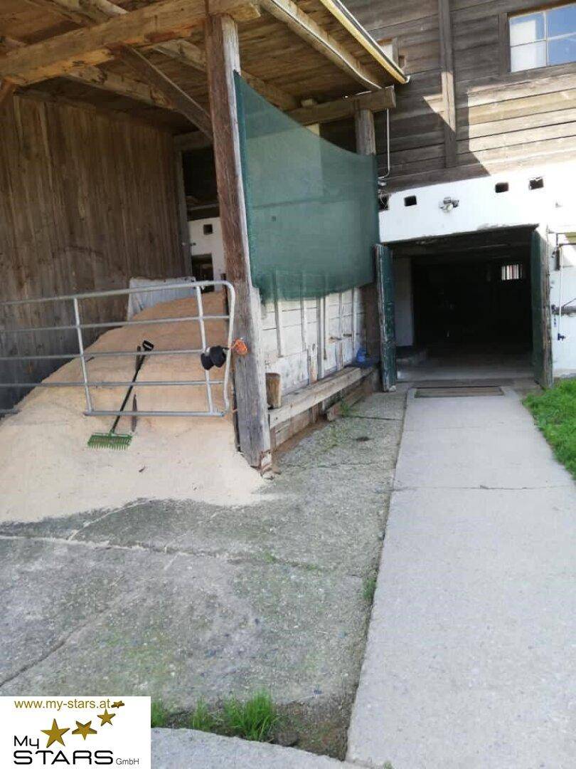 Eingangsbereich eines Stallgebäudes mit einer Rampe und einem gepflasterten Weg.