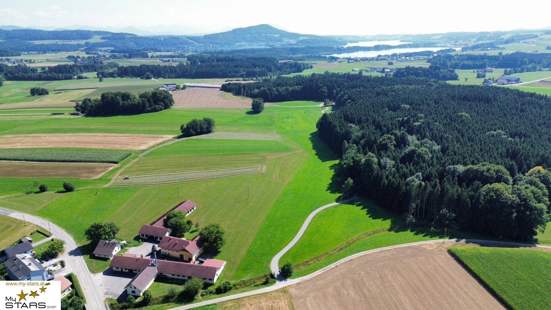 Weitläufige Luftaufnahme der ländlichen Umgebung mit Feldern, Wäldern und einem See in der Ferne.