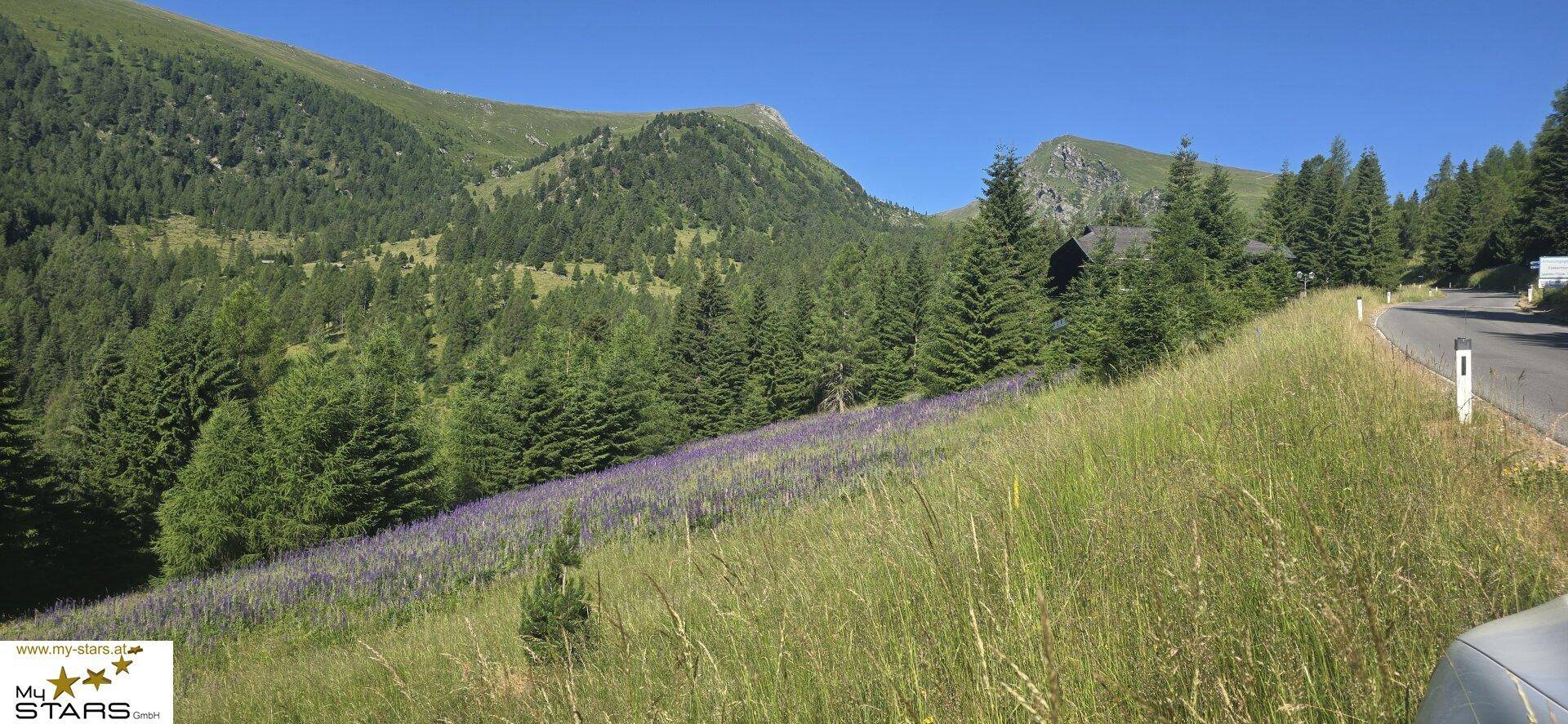 Eine kurvenreiche Straße schlängelt sich durch eine grüne, bewaldete Berglandschaft im Sommer.