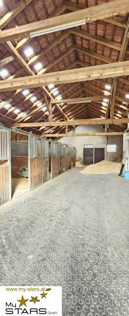 Innenansicht eines Stalls mit Holzboxen und offenem Dachstuhl, bereit für Pferdehaltung.