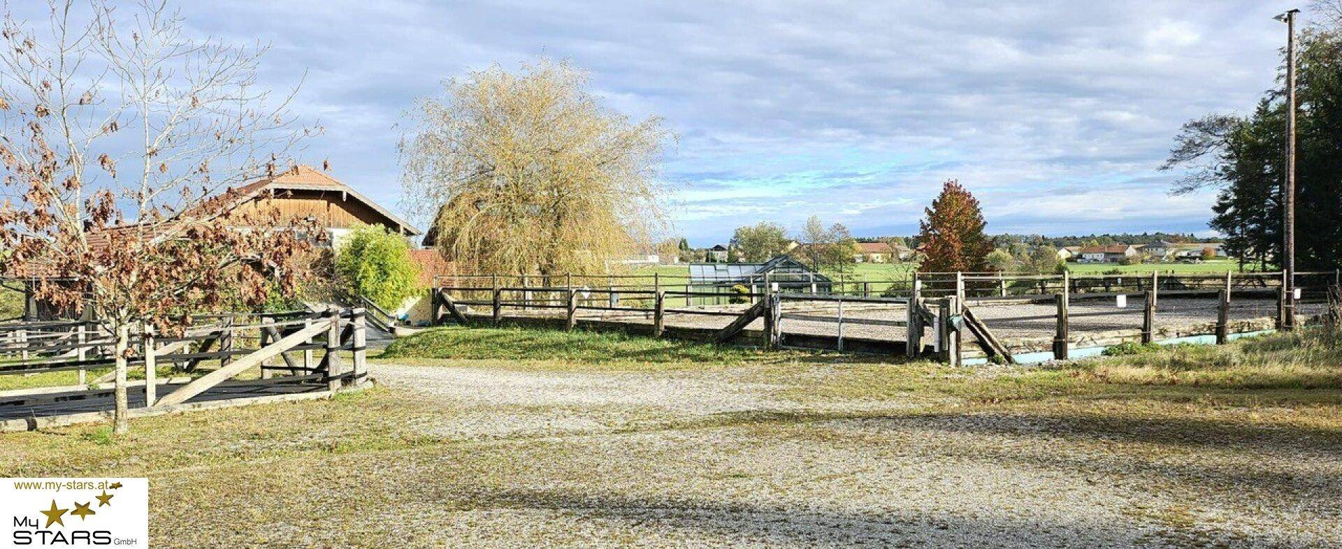 Weitläufiger Außenbereich mit Reitplatz und Holzzäunen, umgeben von Bäumen und ländlicher Idylle.
