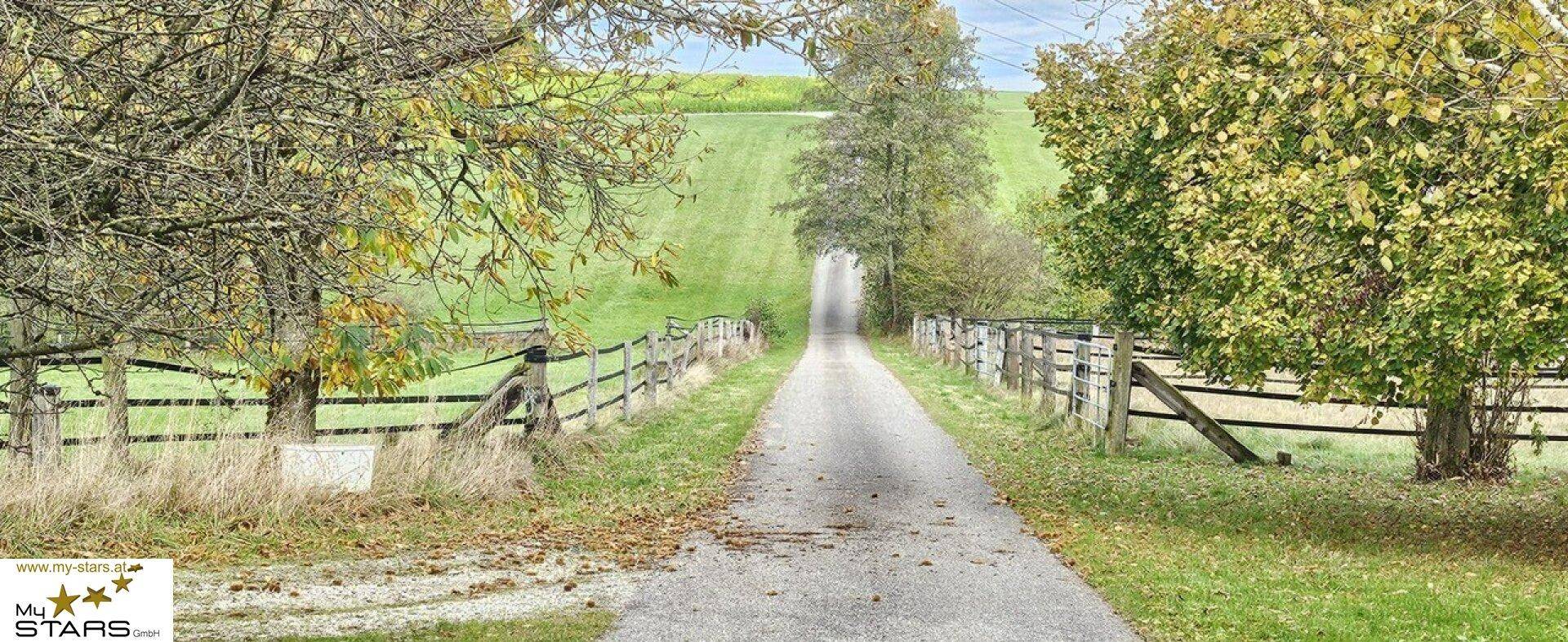 Ländlicher Zufahrtsweg, gesäumt von Bäumen und Holzzäunen, führt durch grüne Felder.