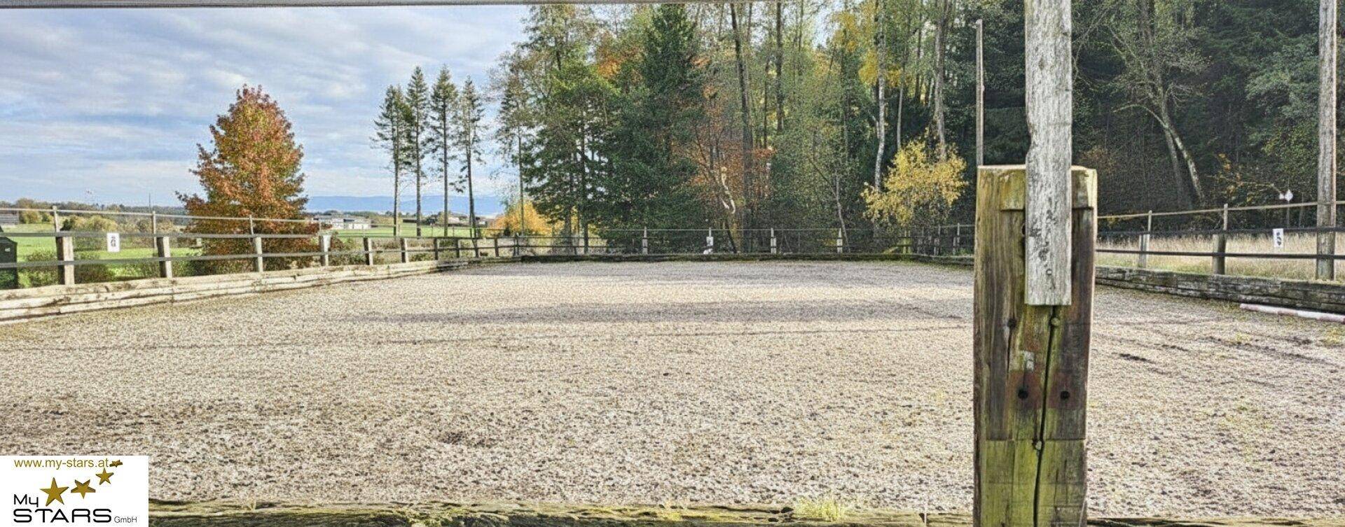 Großer Reitplatz mit Sandboden und Holzzaun, umgeben von Bäumen und ländlicher Landschaft.