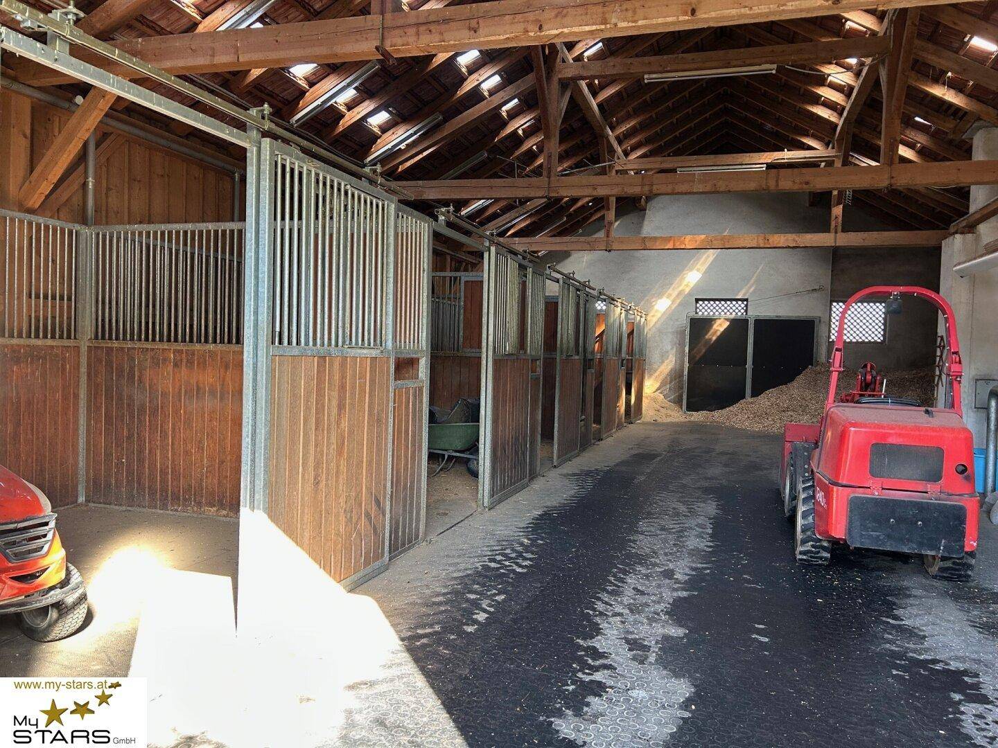 Innenansicht eines Stalls mit Holzboxen und einem kleinen Traktor, gut beleuchtet.