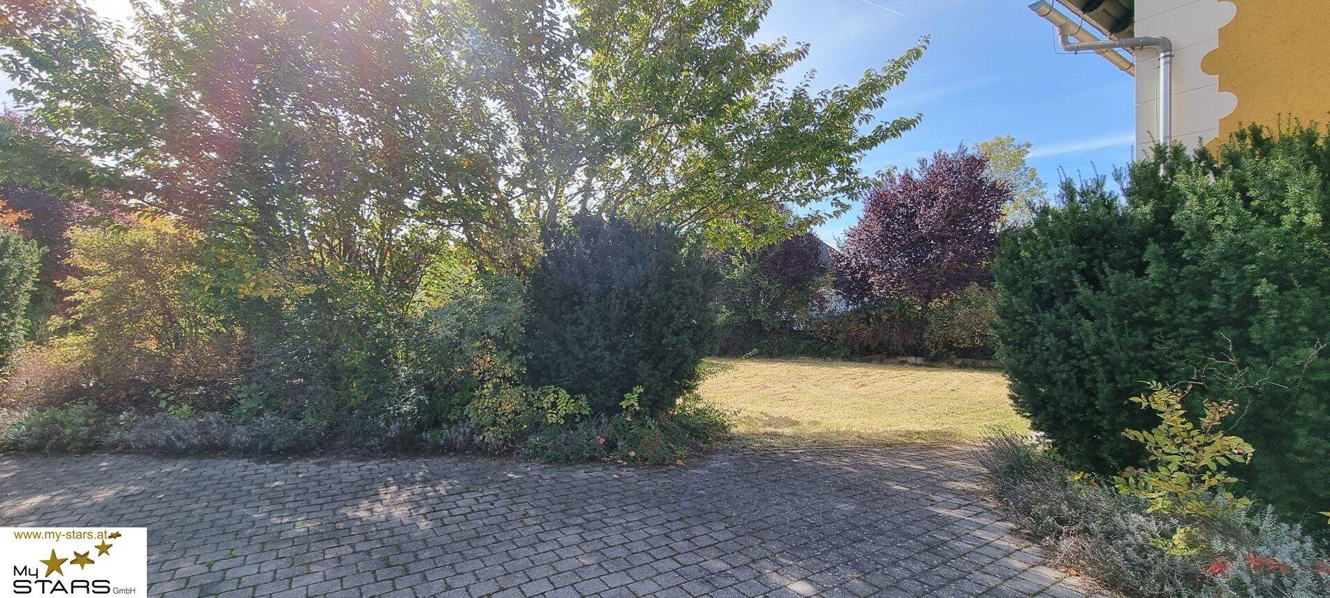 Grüner Gartenbereich mit verschiedenen Bäumen und Sträuchern neben einem gepflasterten Weg.