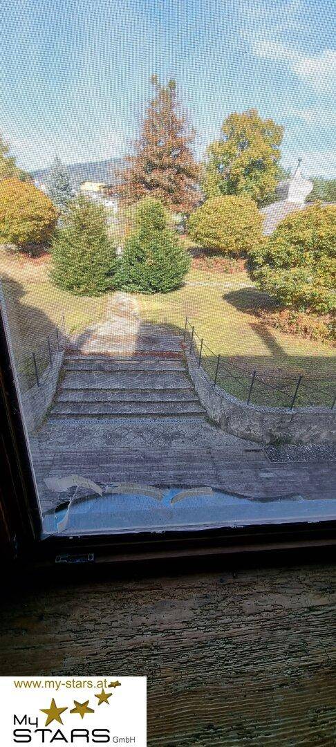 Weitläufiger Blick aus dem Fenster auf einen grünen Garten mit alten Bäumen und Treppen.