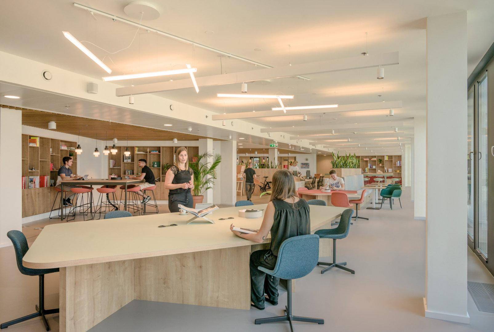 Großer, offener Co-Working-Bereich mit verschiedenen Arbeitsplätzen, Bücherregalen und moderner Beleuchtung.