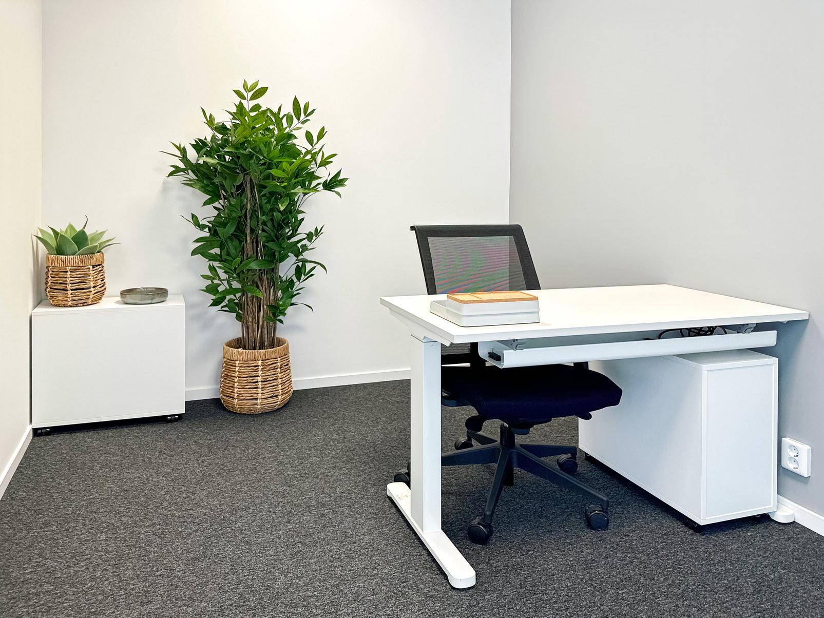 Einzelner Büroraum mit modernem Schreibtisch, Bürostuhl und großer Pflanze.