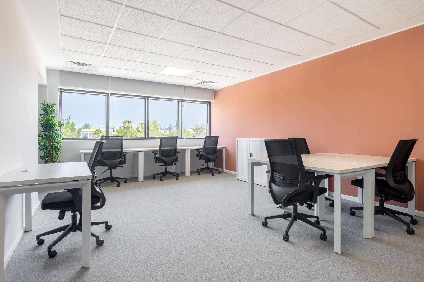 Helles Büro mit mehreren Arbeitsplätzen, großen Fenstern und Teppichboden.
