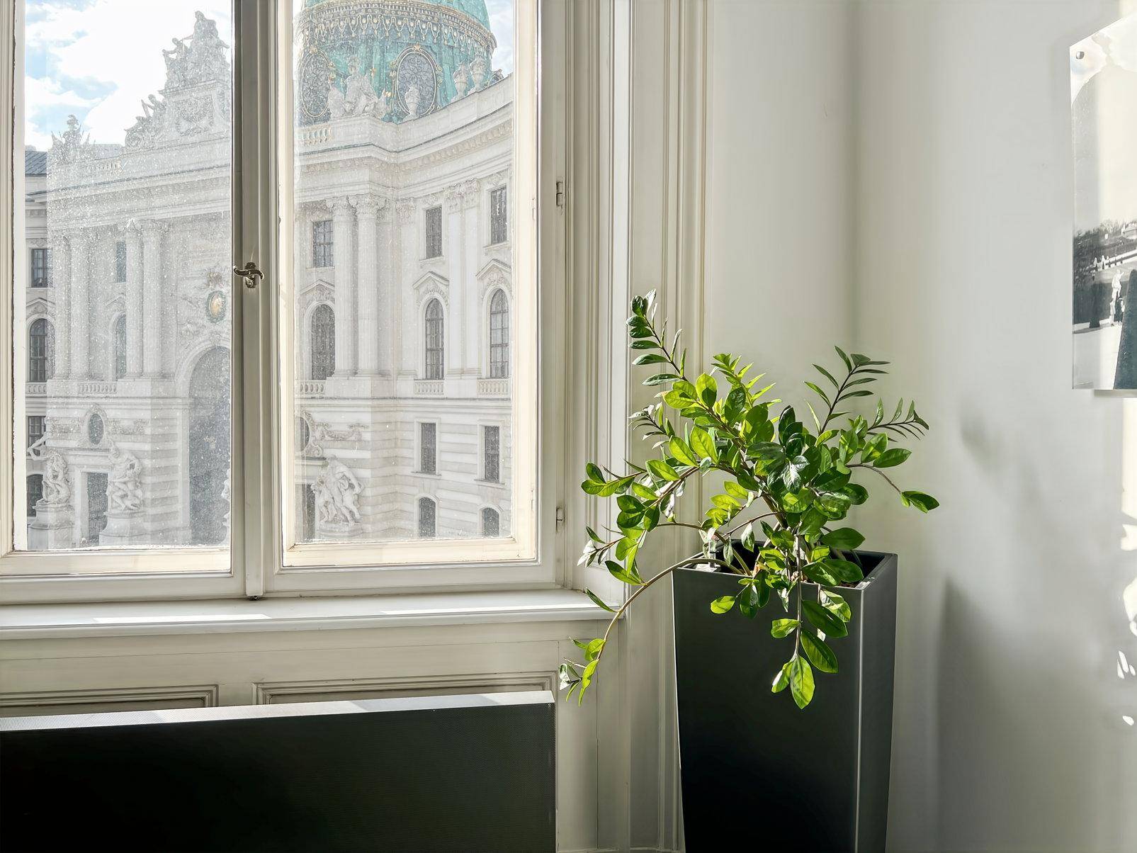 Fenster mit Blick auf ein historisches Gebäude, daneben eine Pflanze.