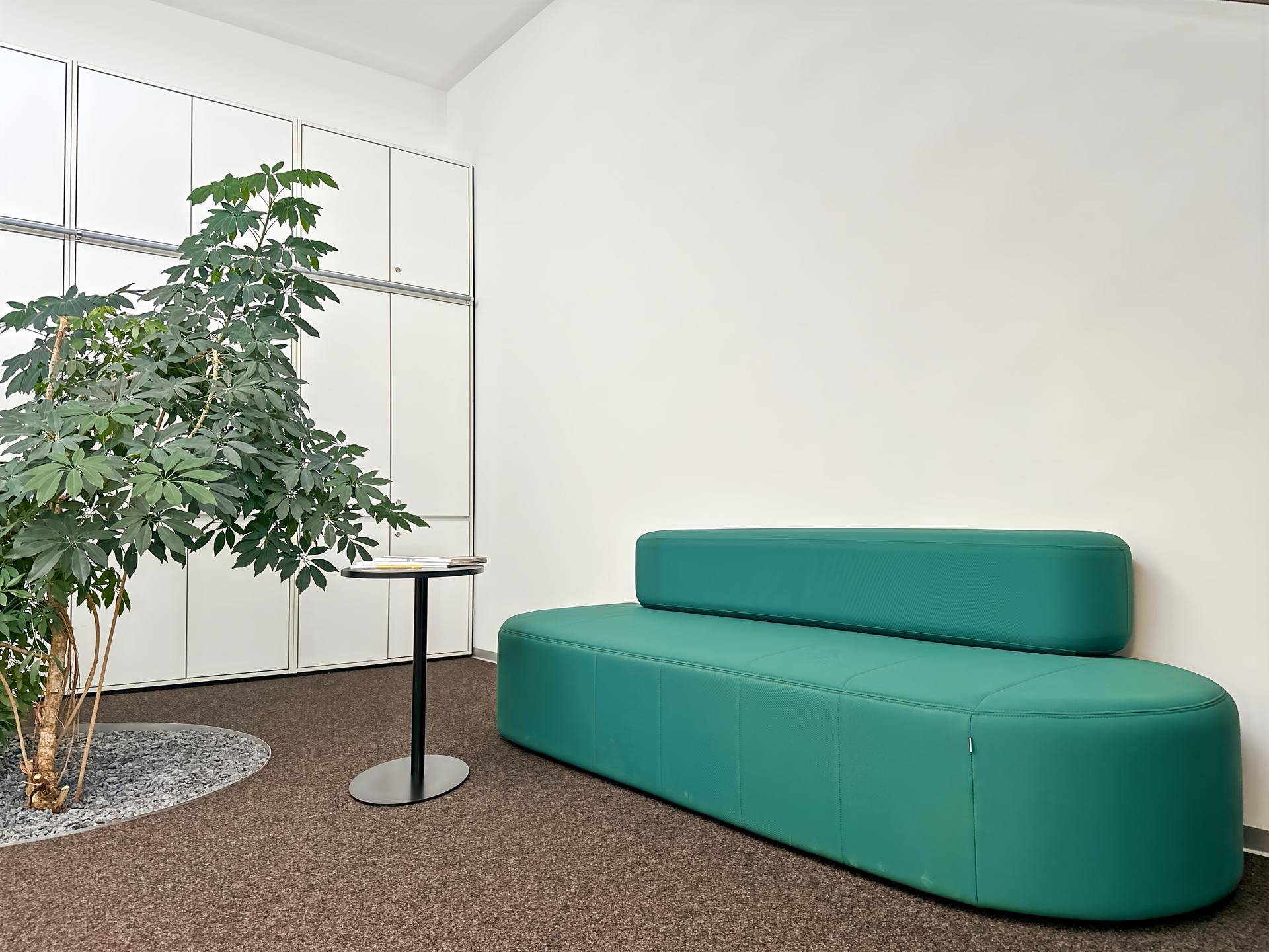 Heller Wartebereich mit einer modernen grünen Sitzbank, einem dekorativen Baum und weißen Schränken.