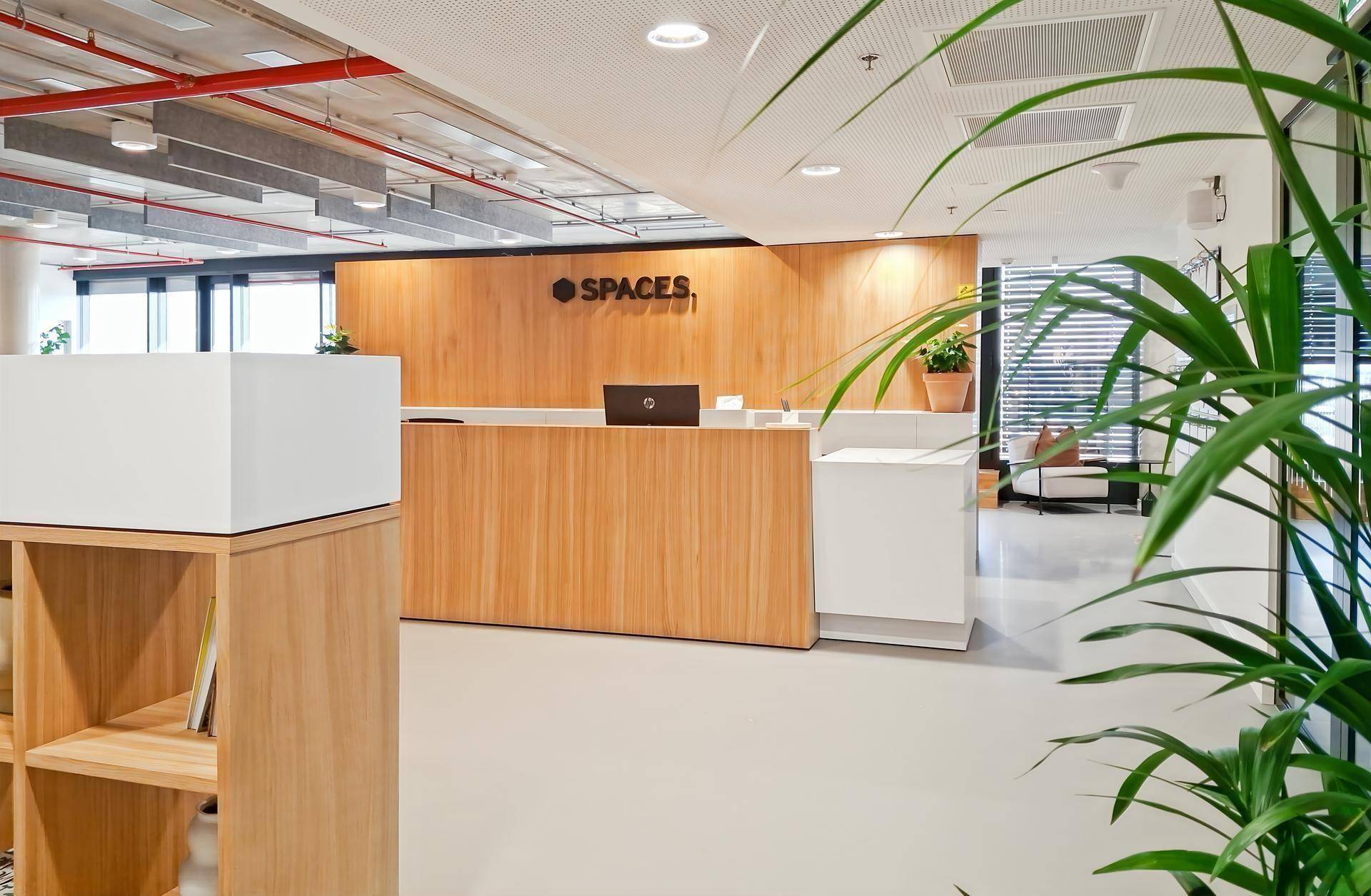 Moderner Empfangsbereich mit Holzverkleidung, Rezeptionstresen und Pflanzen in einem offenen Büro.