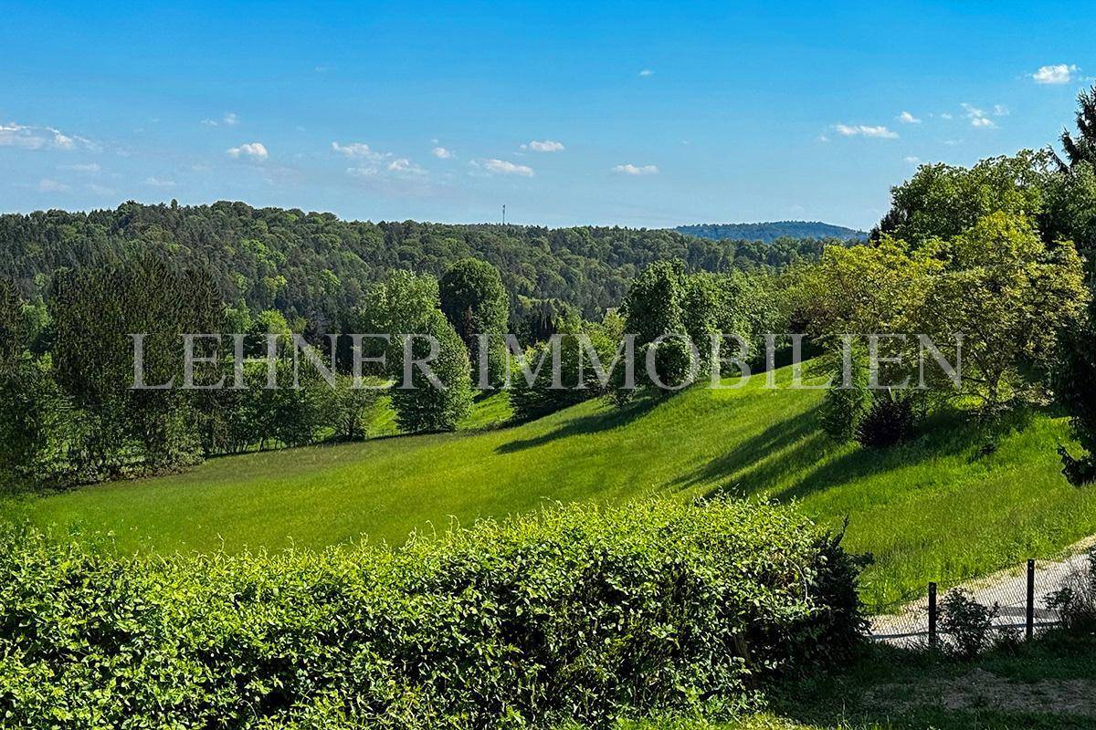 Lehner Immobilien Bild 4