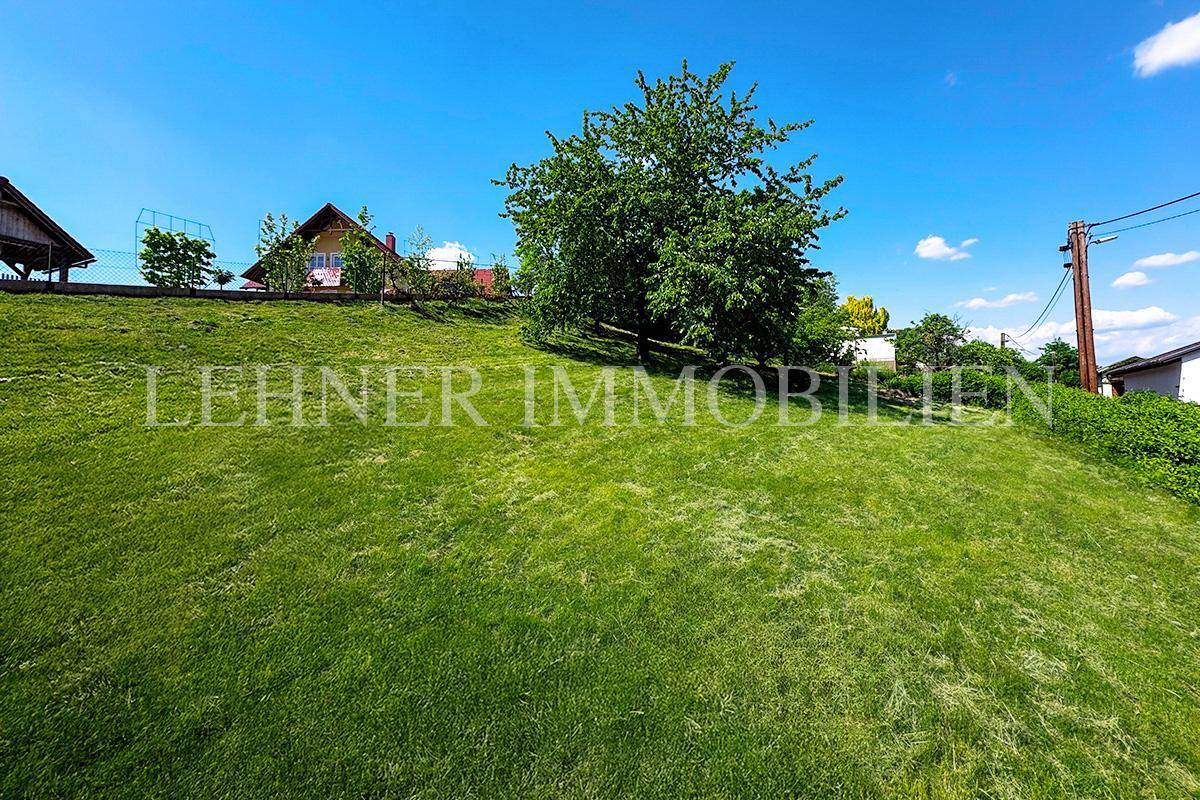 Lehner Immobilien Bild 3