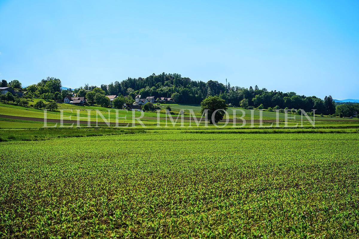 Lehner Immobilien Bild 3