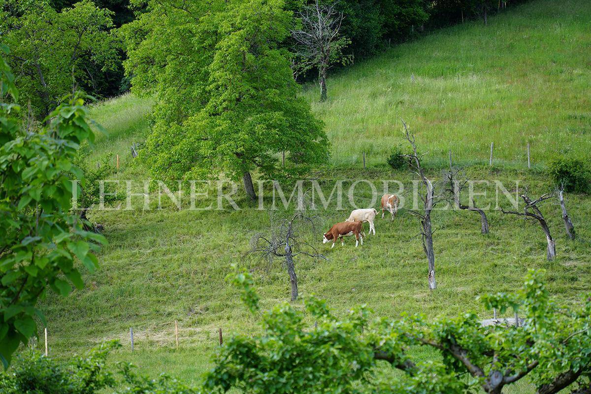 Lehner Immobilien Bild 31