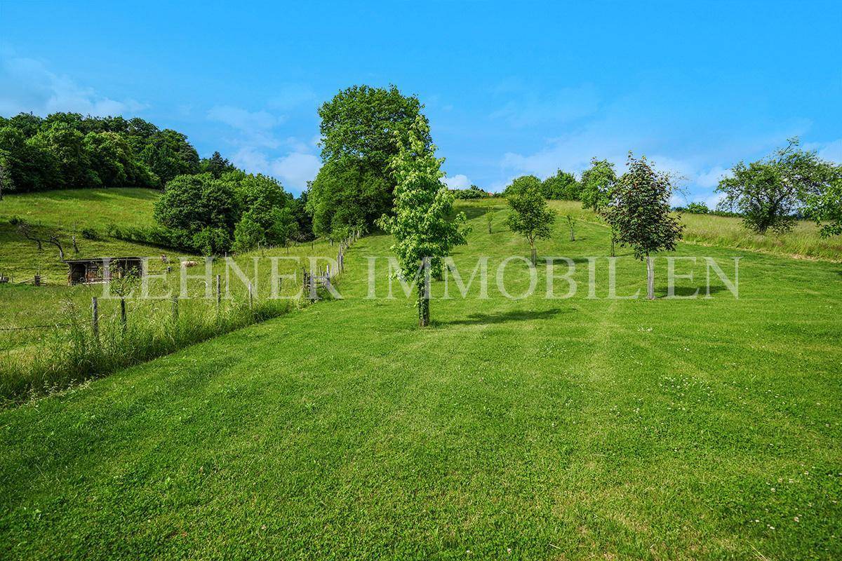 Lehner Immobilien Bild 30