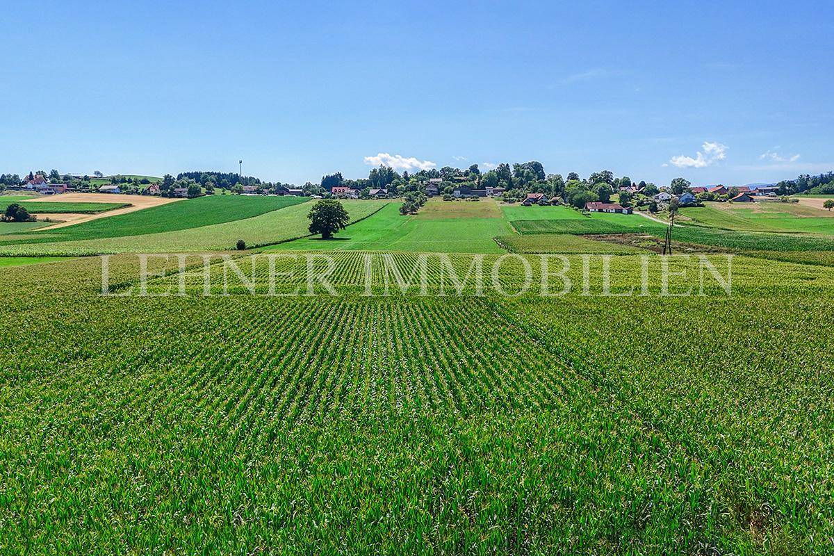 Lehner Immobilien Bild 8