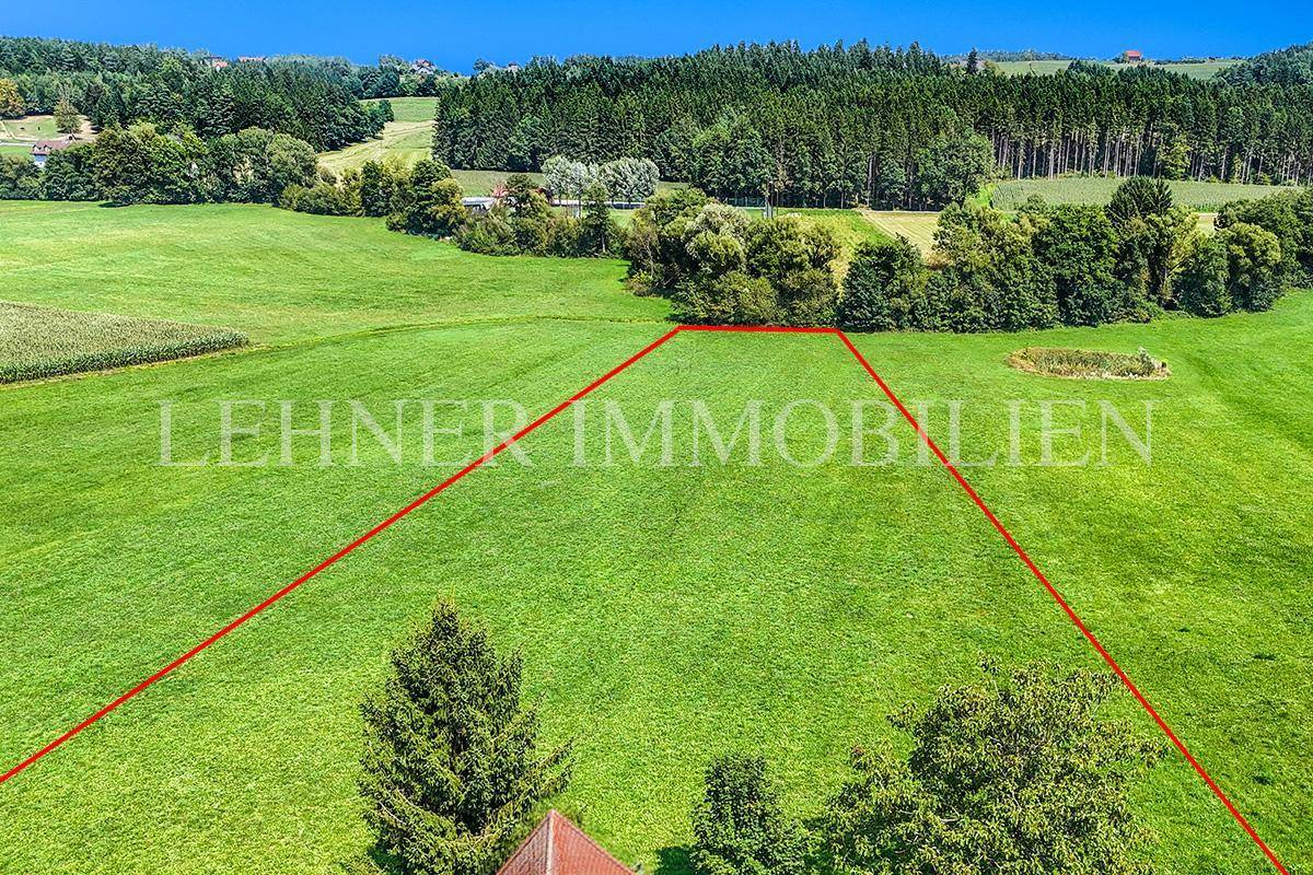 Lehner Immobilien Bild 4