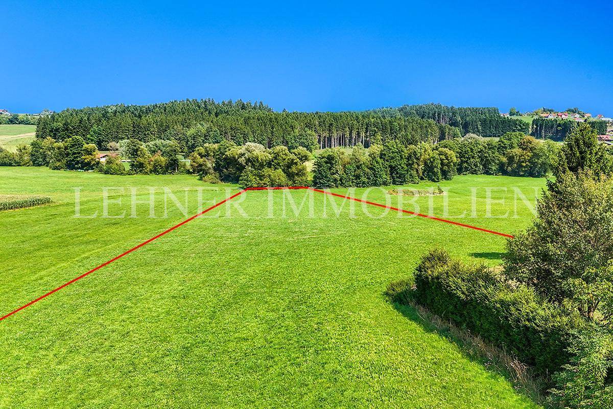 Lehner Immobilien Bild 3
