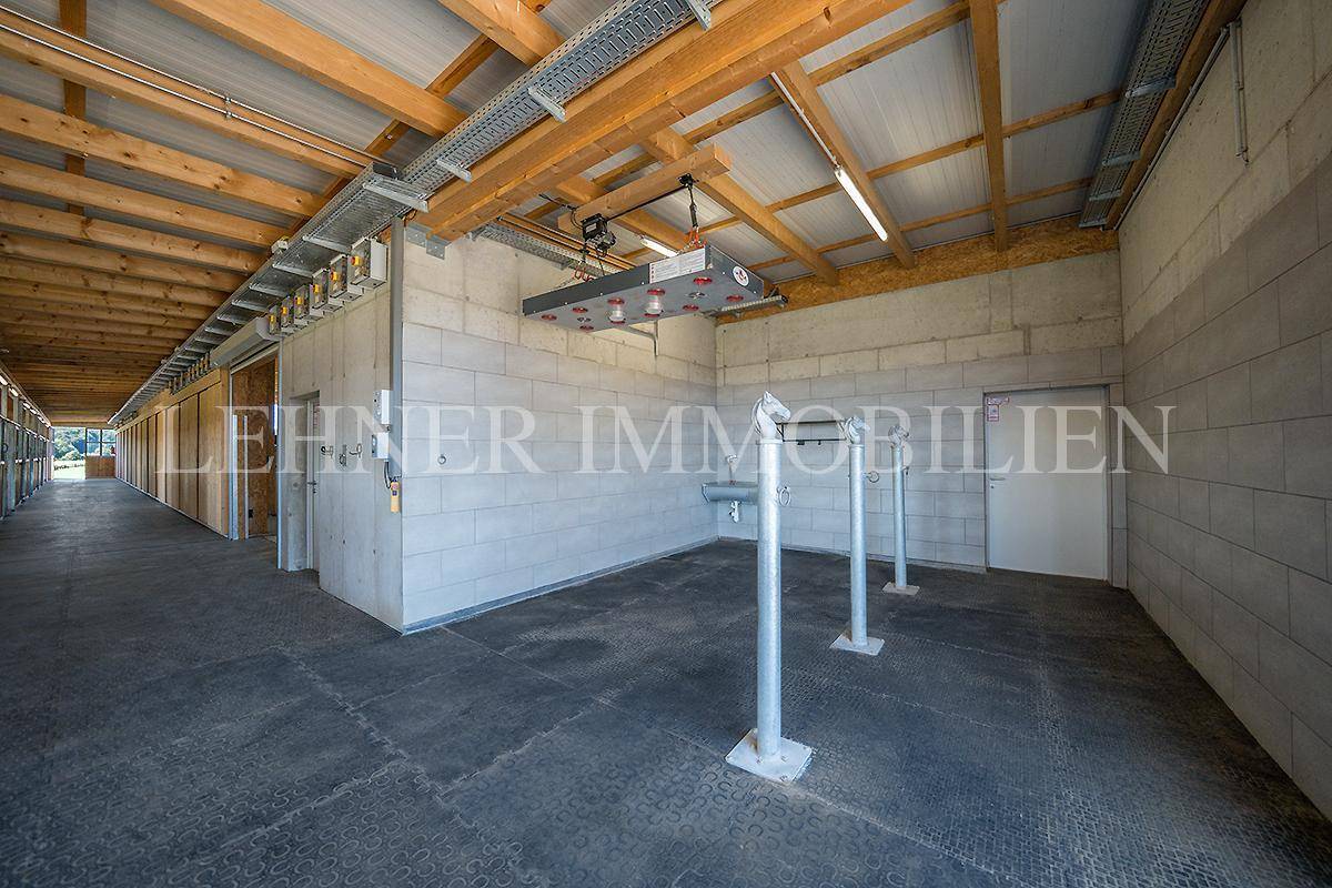 Lehner Immobilien Bild 80
