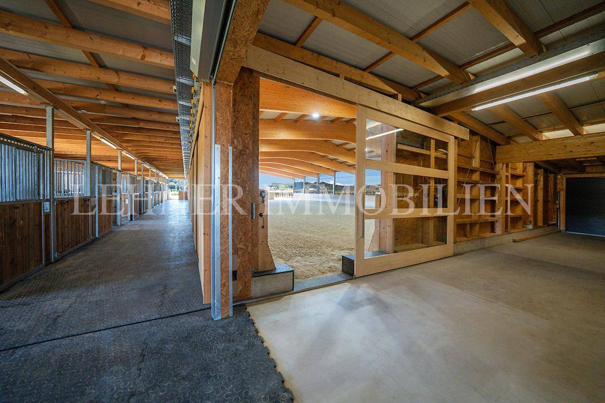 Lehner Immobilien Bild 96
