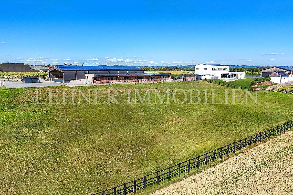 Lehner Immobilien Bild 13