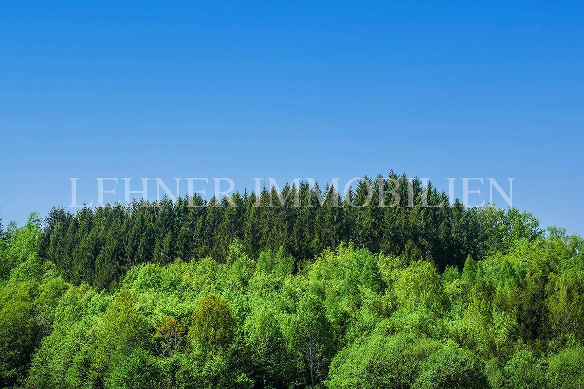 Lehner Immobilien Bild 8