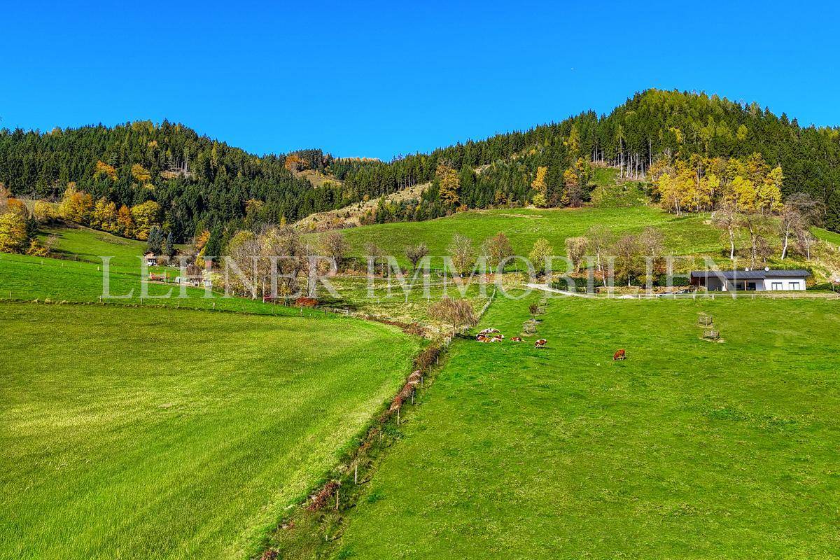 Weitläufige grüne Hügellandschaft mit Wald und vereinzelten Häusern im Hintergrund.