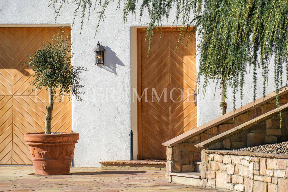 Detailansicht des Garagentors und der Seitentür aus Holz mit Topfbaum.