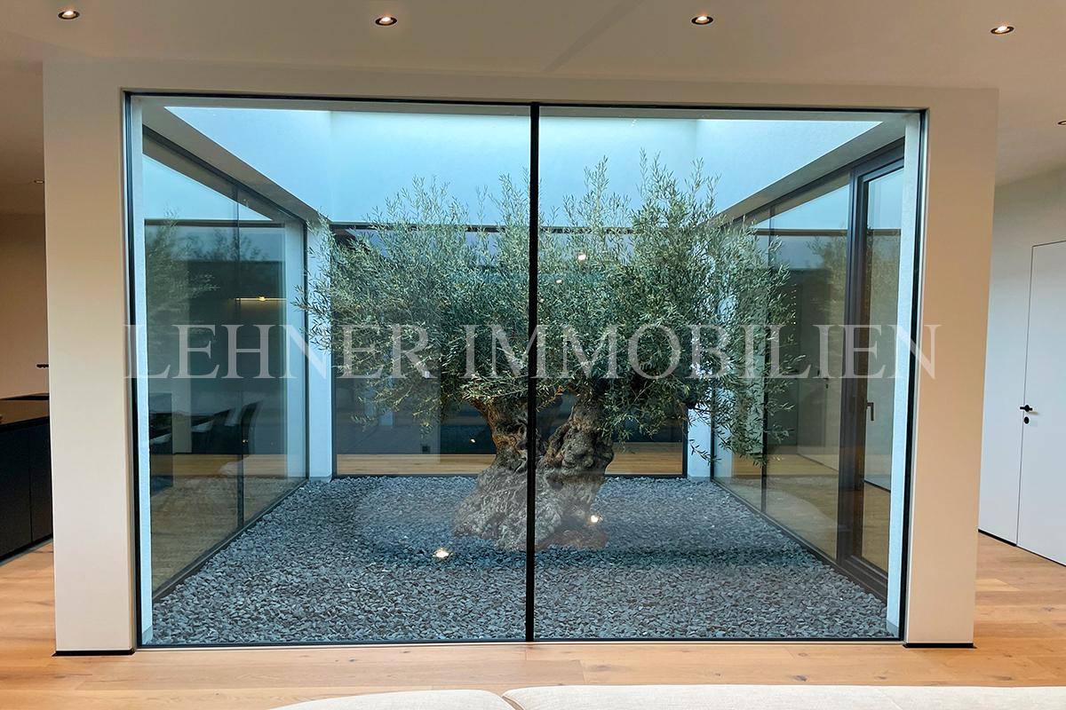 Großzügige Glasfront zum Innenhof mit Olivenbaum, die viel natürliches Licht spendet.