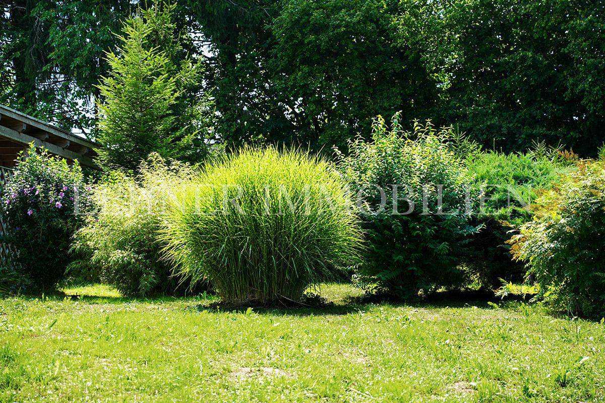Gepflegter Gartenbereich mit verschiedenen Sträuchern und üppigem Grün.