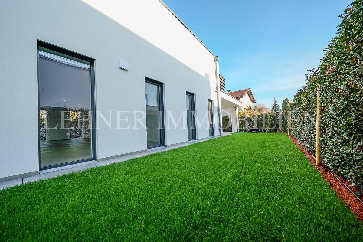 Gepflegter Rasenbereich neben der modernen Hausfassade mit großen Fenstern und Hecke.