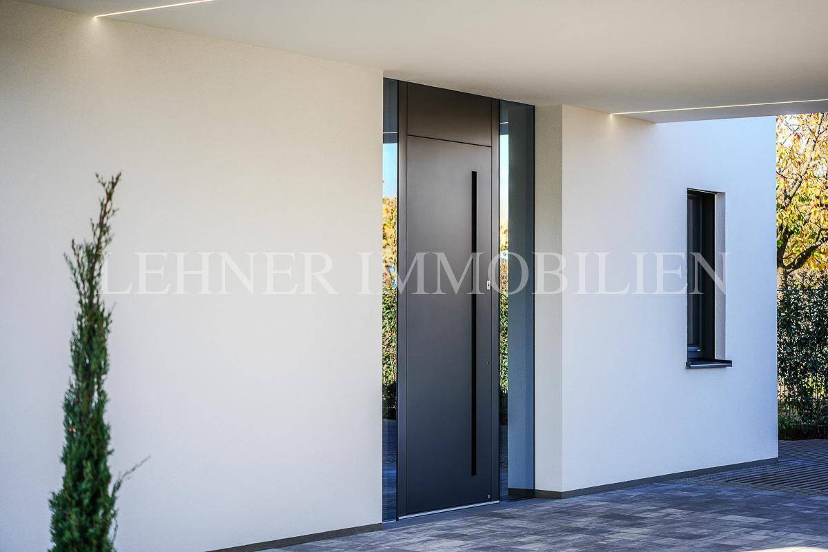 Moderner Hauseingang mit großer dunkler Tür und seitlichem Glaselement unter dem Carport.
