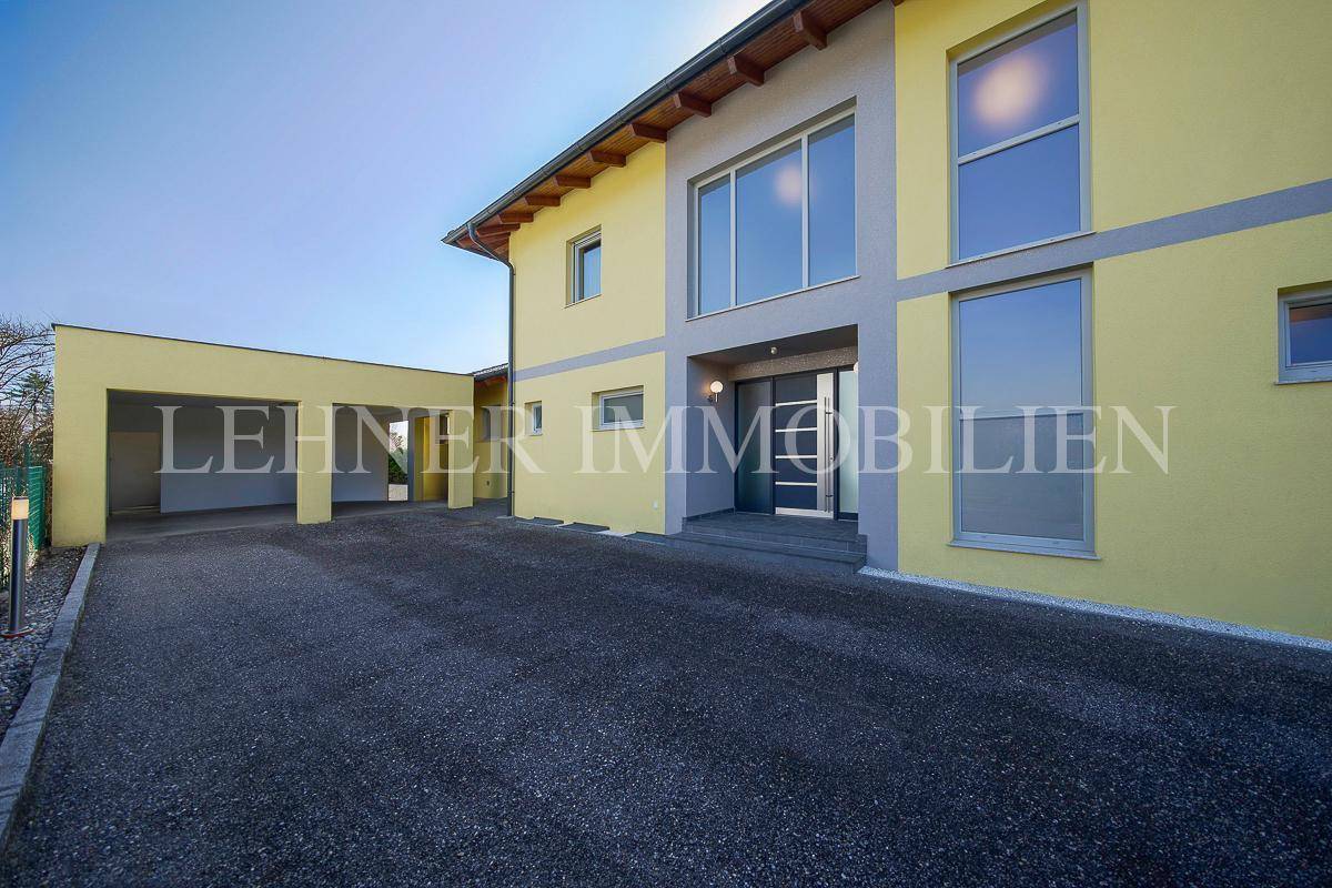 Eingangsbereich des modernen Hauses mit Carport und gepflasterter Zufahrt.