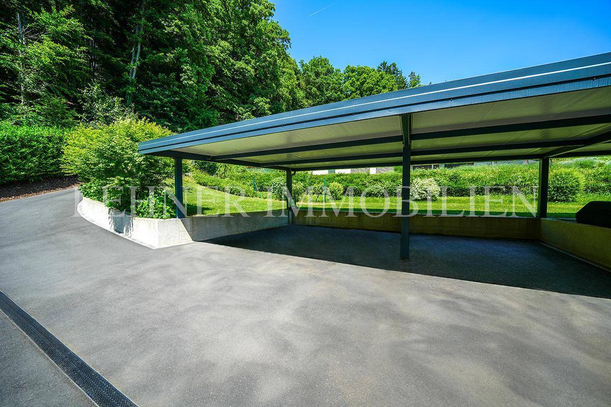 Geräumiger Carport mit Blick auf die grüne Umgebung und gepflegte Hecken.