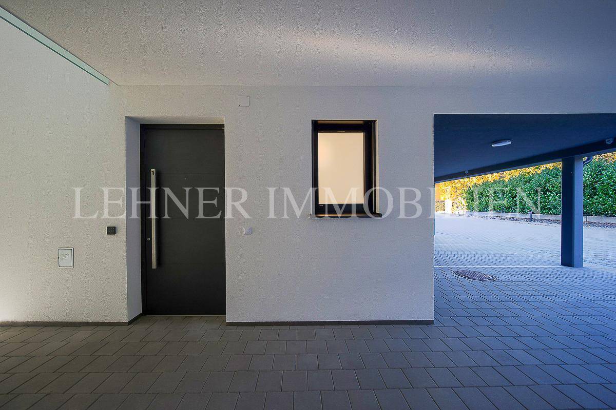 Eingangsbereich mit dunkler Haustür und gepflastertem Vorplatz, der zu einem Carport führt.