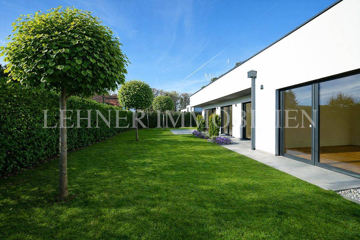 Weitläufiger Rasenbereich mit Bäumen und hohen Hecken entlang der modernen Hausfassade.