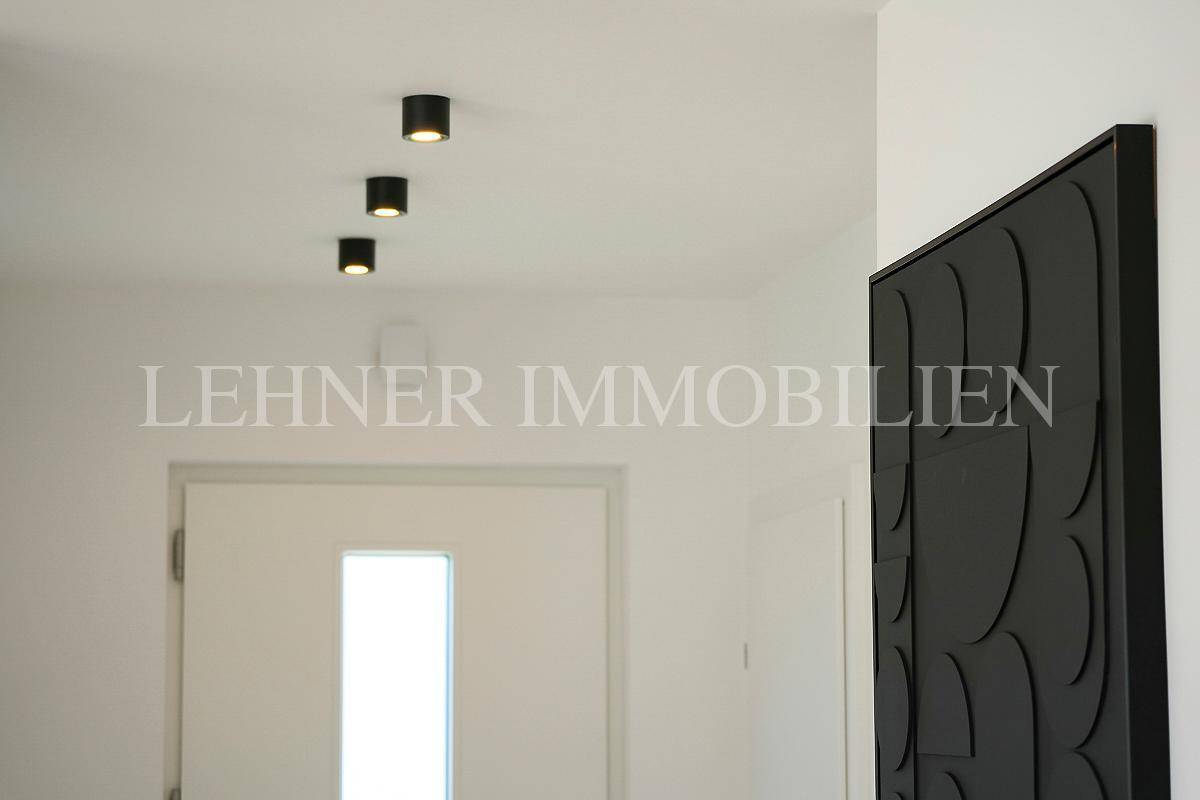 Detailansicht des modernen Eingangsbereichs mit minimalistischer Deckenbeleuchtung und einem stilvollen Kunstobjekt an der Wand.