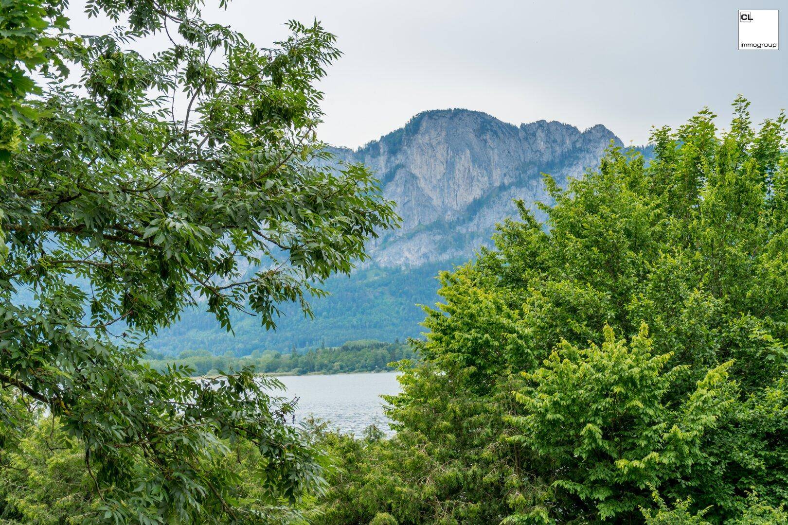 Malerischer Blick auf die Berge und den See, eingerahmt von üppigem grünen Laub.