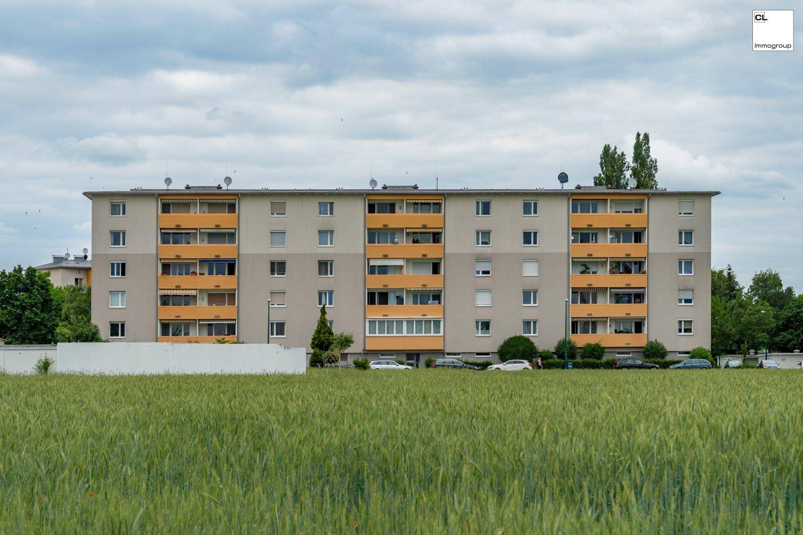 Slide 17