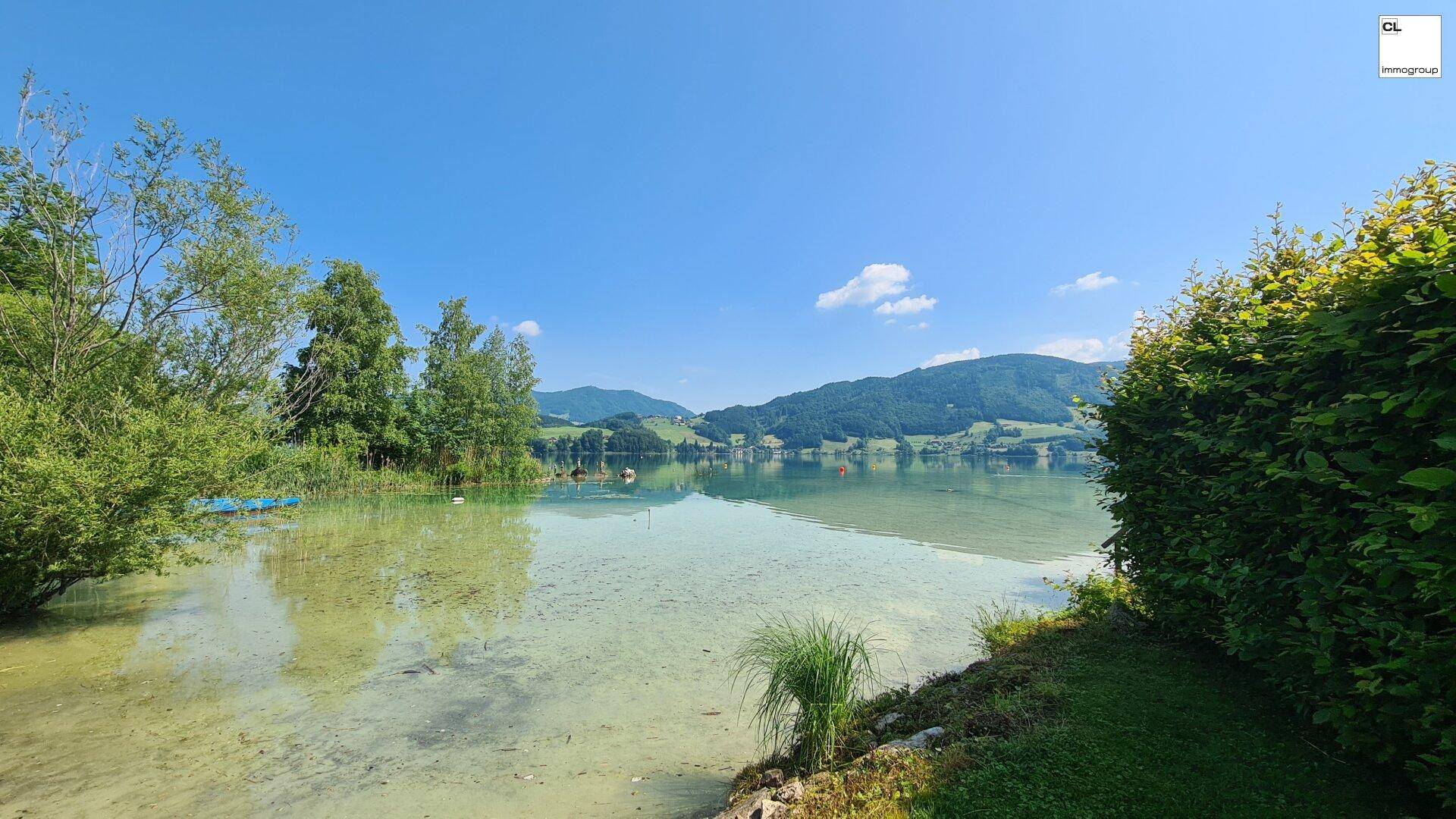 Malerischer Blick auf den See mit umliegenden Bergen und üppiger Vegetation am Ufer.