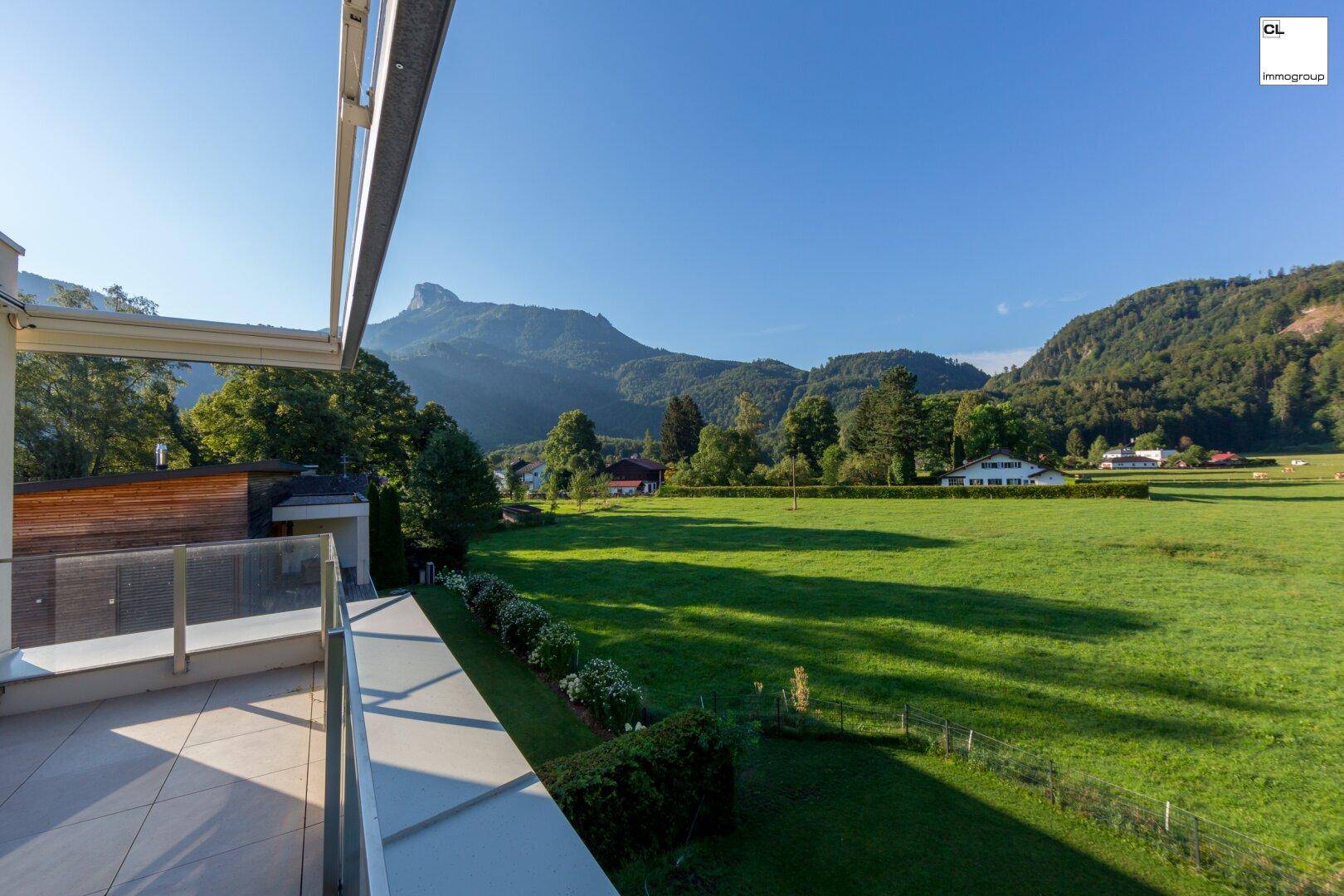 Grüner Freiblick